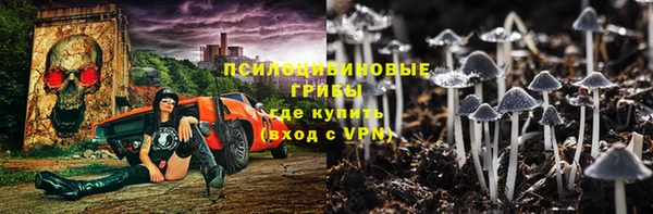 гидропоника Алзамай