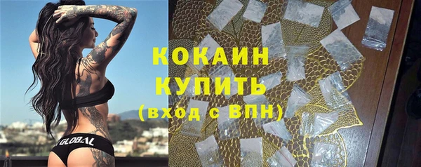 индика Алексеевка