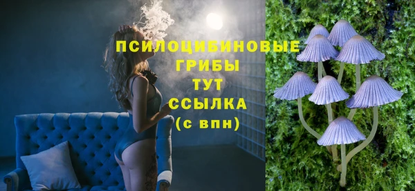 гидропоника Алзамай