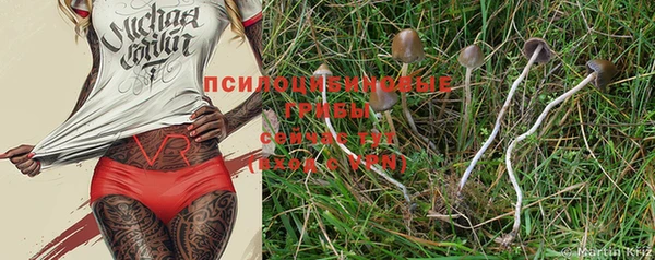 индика Алексеевка