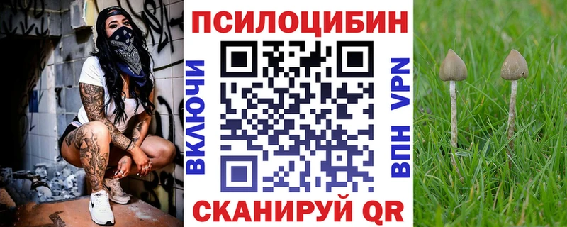 где купить наркоту  Анжеро-Судженск  Псилоцибиновые грибы Magic Shrooms 